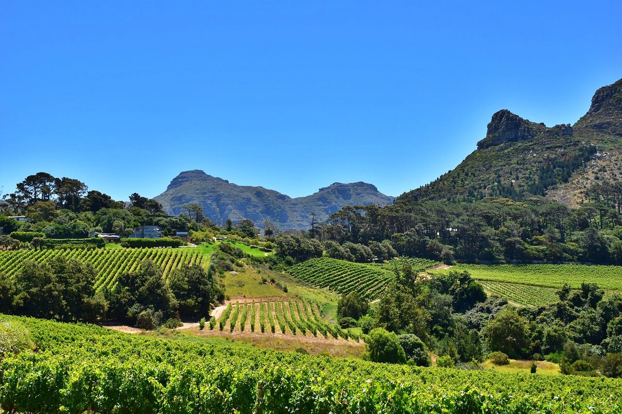 Travel the wine routes of the Cape Winelands in South Africa