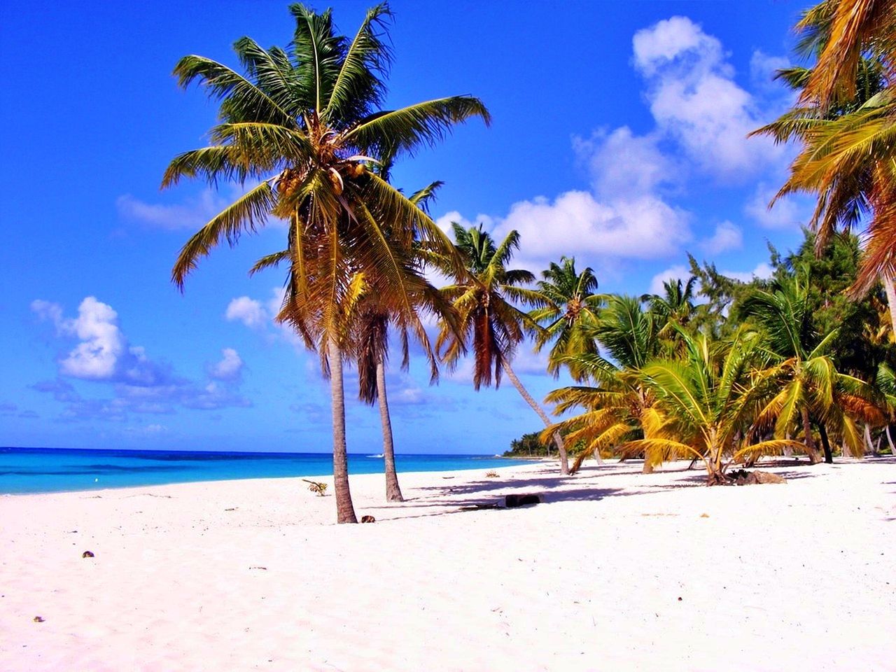 Idyllic Caribbean beaches