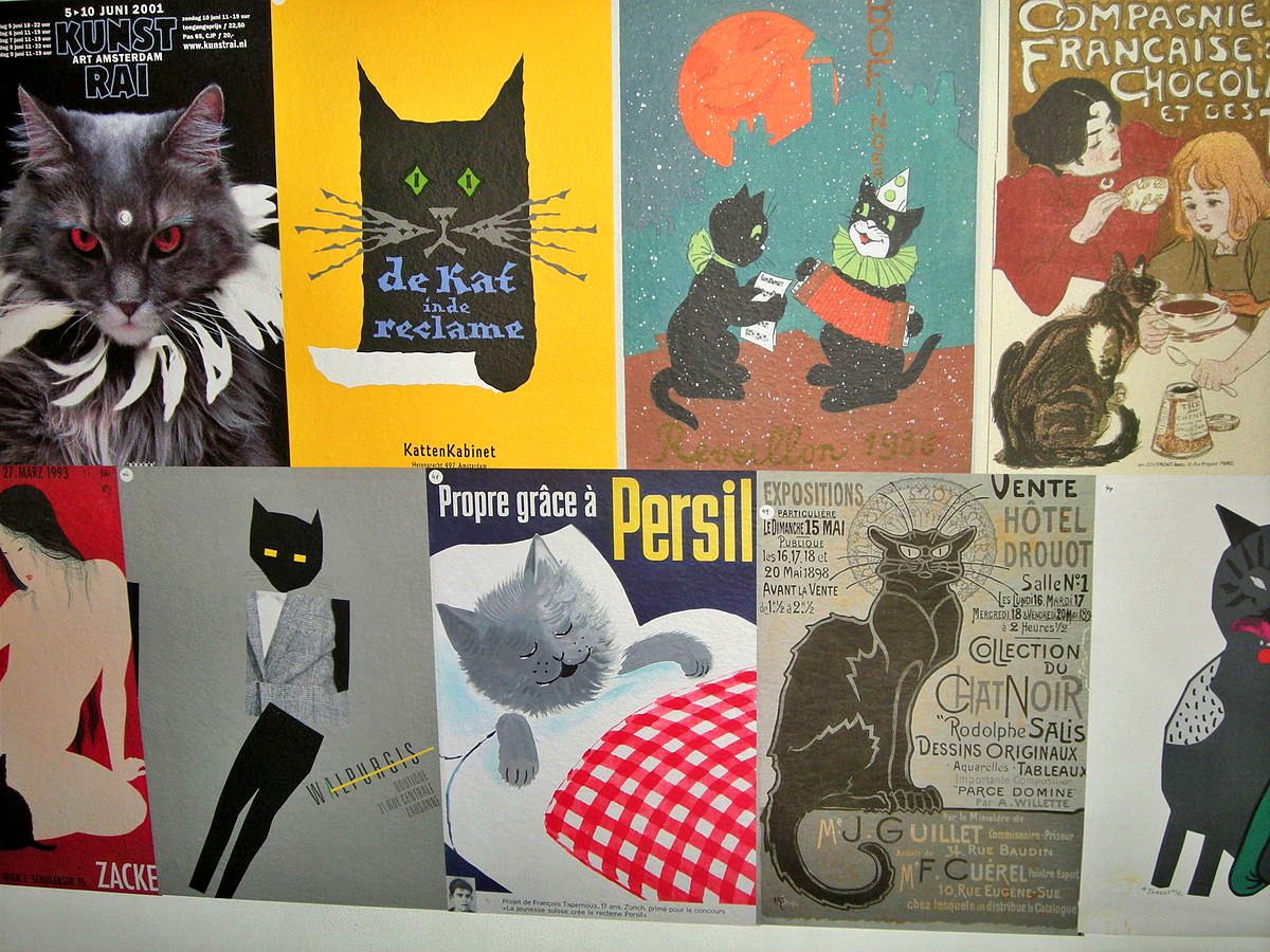 Cat posters in KattenKabinet