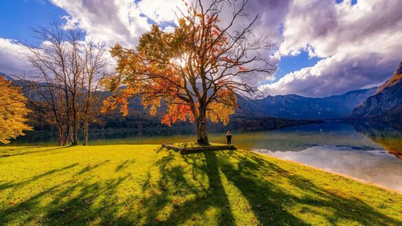 Slovenia landscapes