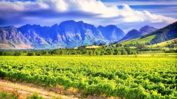 Stellenbosch, Western Cape