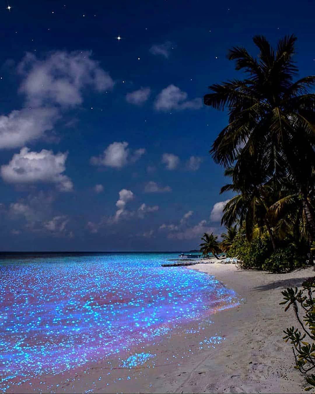 Sea of Stars, Vaadhoo Beach, the Maldives