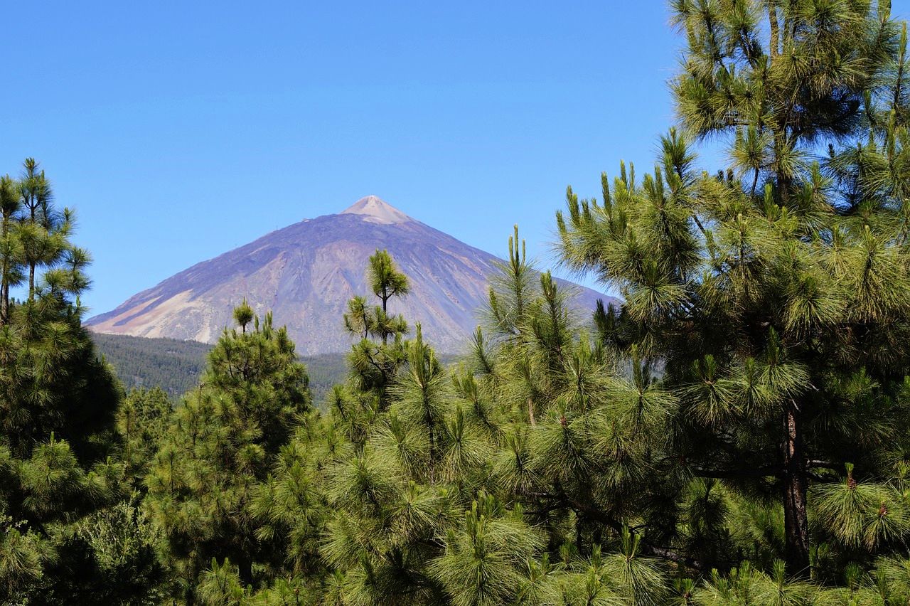 Mt. Teide, Tenerife, Canary Islands, spain