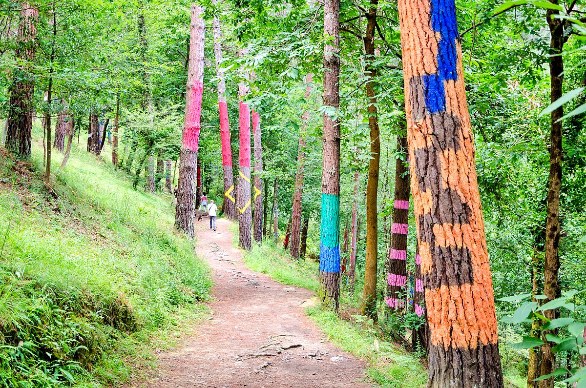 Painted Forest of Oma, Basque Country