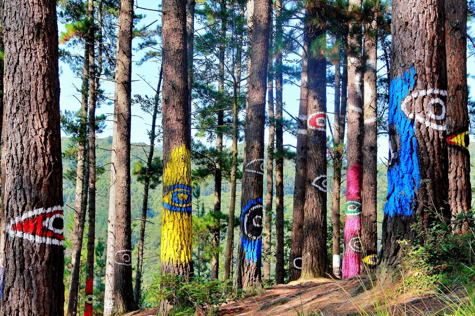 Visit the Painted Forest of Oma in Basque Country, Spain