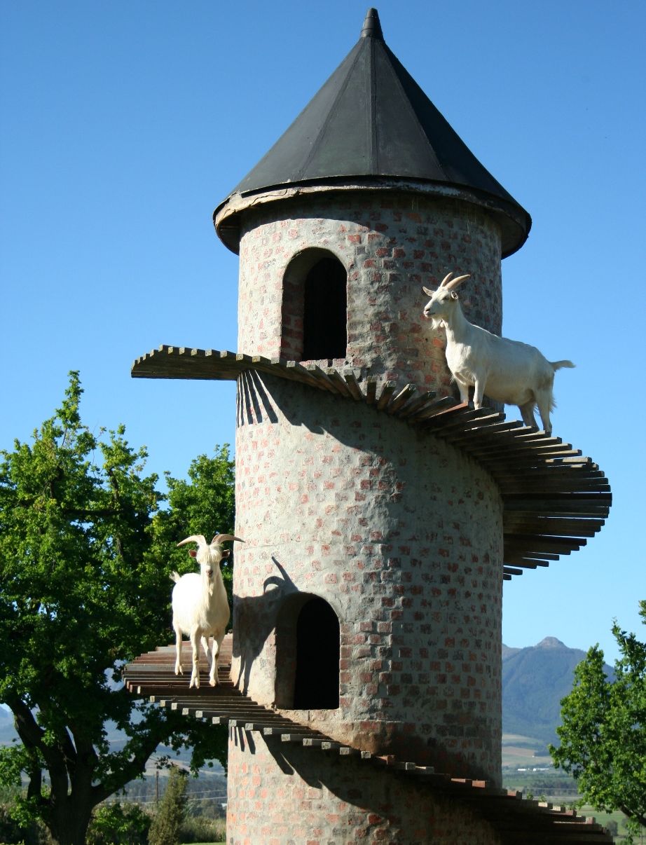 Goat Tower at Fairview Cheese & Wine Farm, South Africa