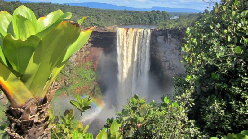 Kaieteur Falls and the rainforest, Guyana