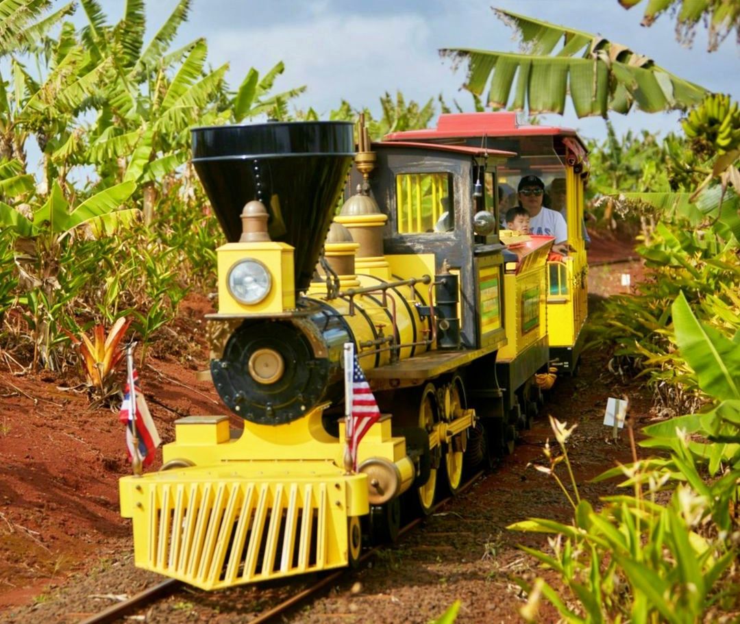 Fun for the kids at Dole Plantation