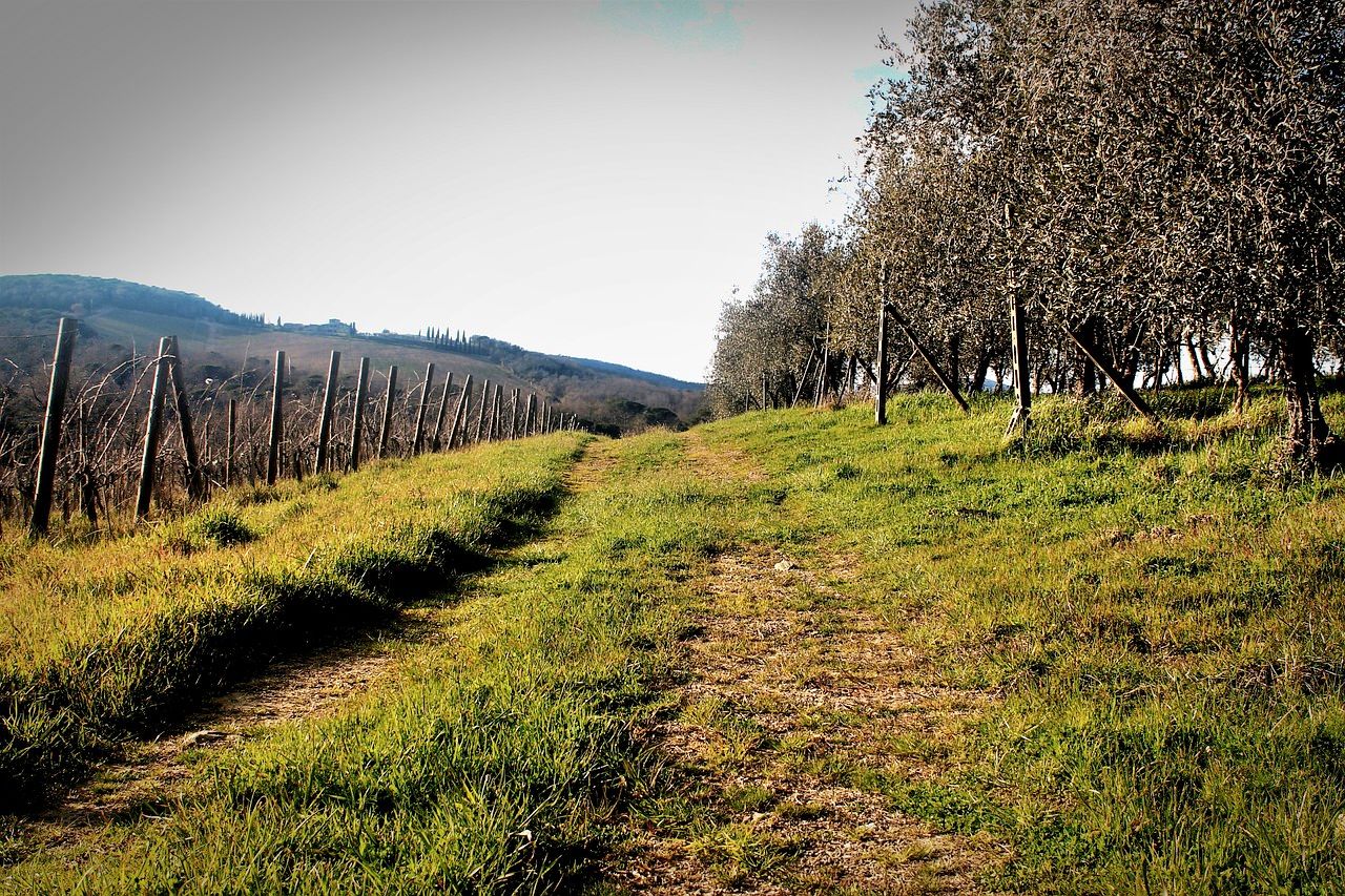 Active hiking adventure in Tuscany