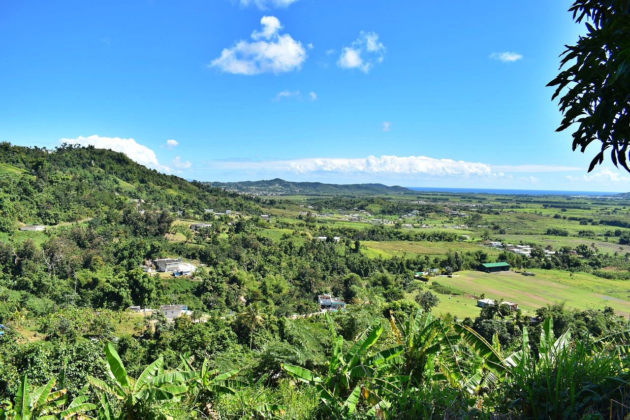 Rural scenes in Puerto Rico
