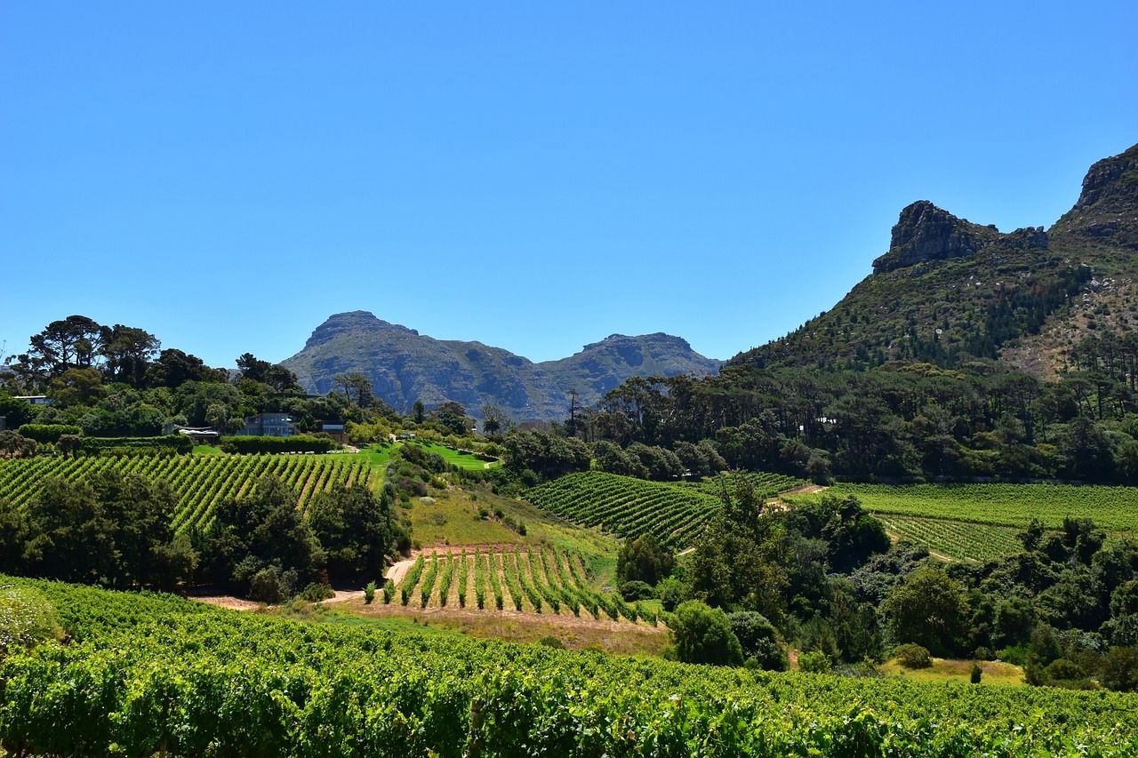 Constantia, Cape Town for a romantic vacation