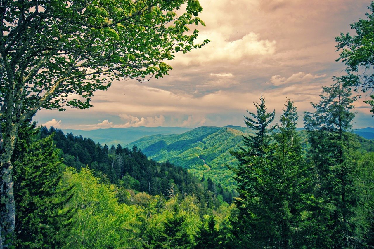 Great Smoky Mountains National Park close to Gatlinburg