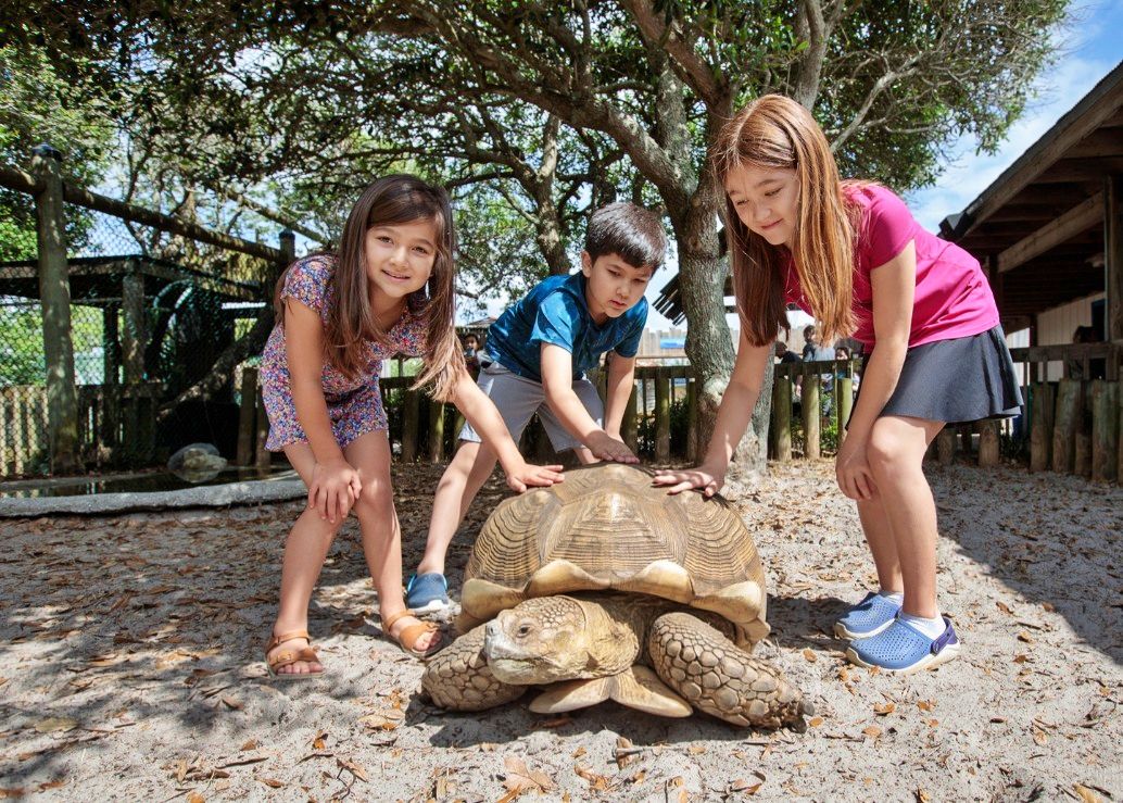 Gulfarium Marine Adventure Park for a family vacation in Destin, FL