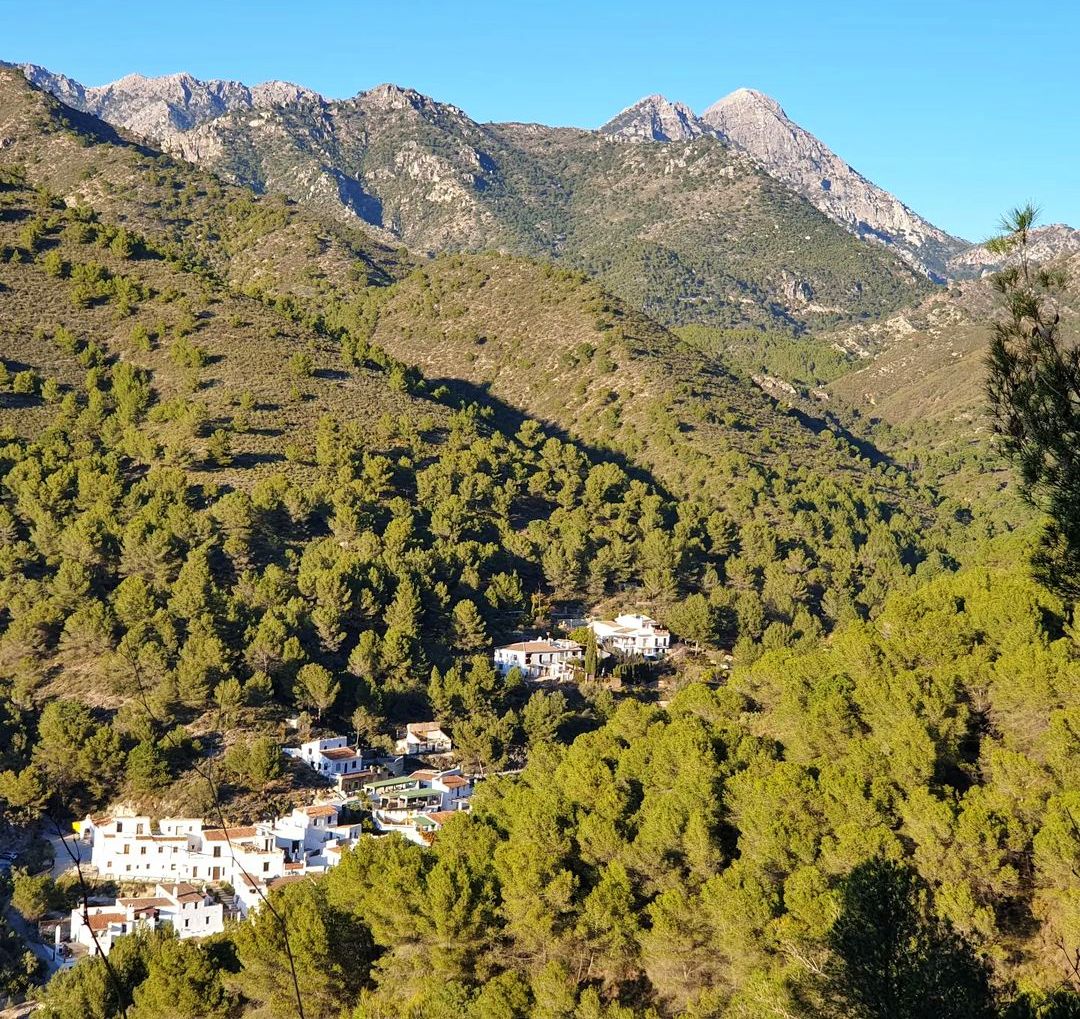 View over El Acebuchal