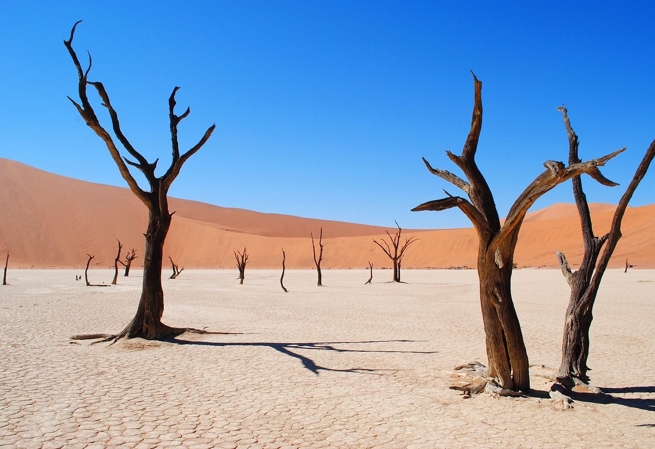 Namibian desert