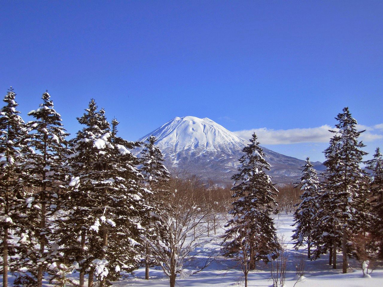 Mount Yotei, Niseko, Japan 
