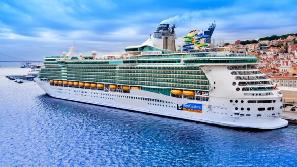 A passenger snuck a pet cat onboard the Royal Caribbean ship Ovation of the Seas