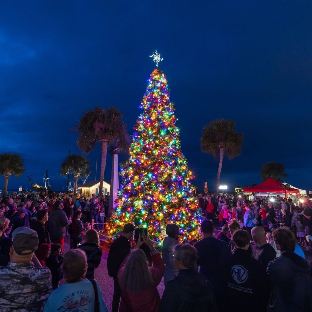 Christmas tree on Amelia Island, Florida