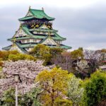 Japan releases cherry blossom predictions for 2024