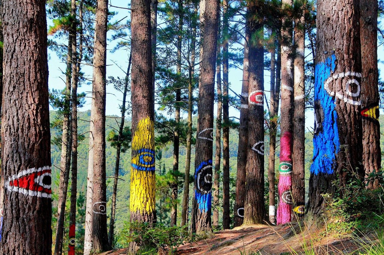 Painted Forest of Oma, Urdaibai Estuary 