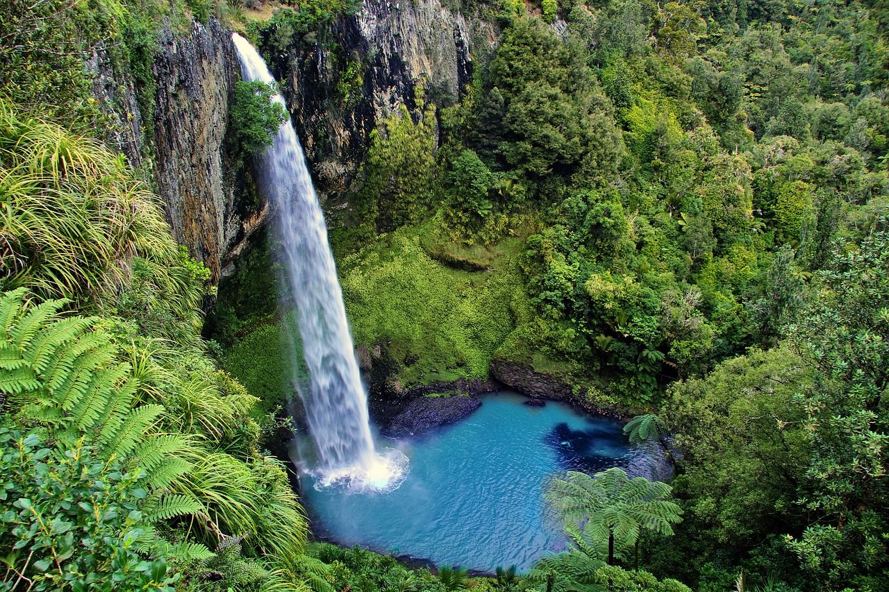Waterfall, North Island, New Zealand