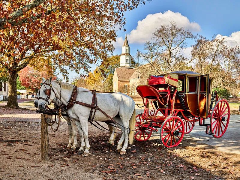 Romantic horse-drawn carriage in Charleston, South Carolina