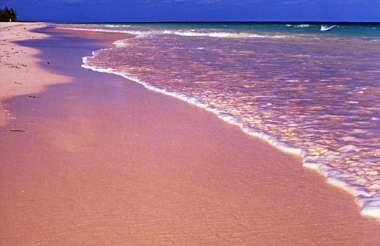 Pink sand beach in Eleuthera, the Bahamas