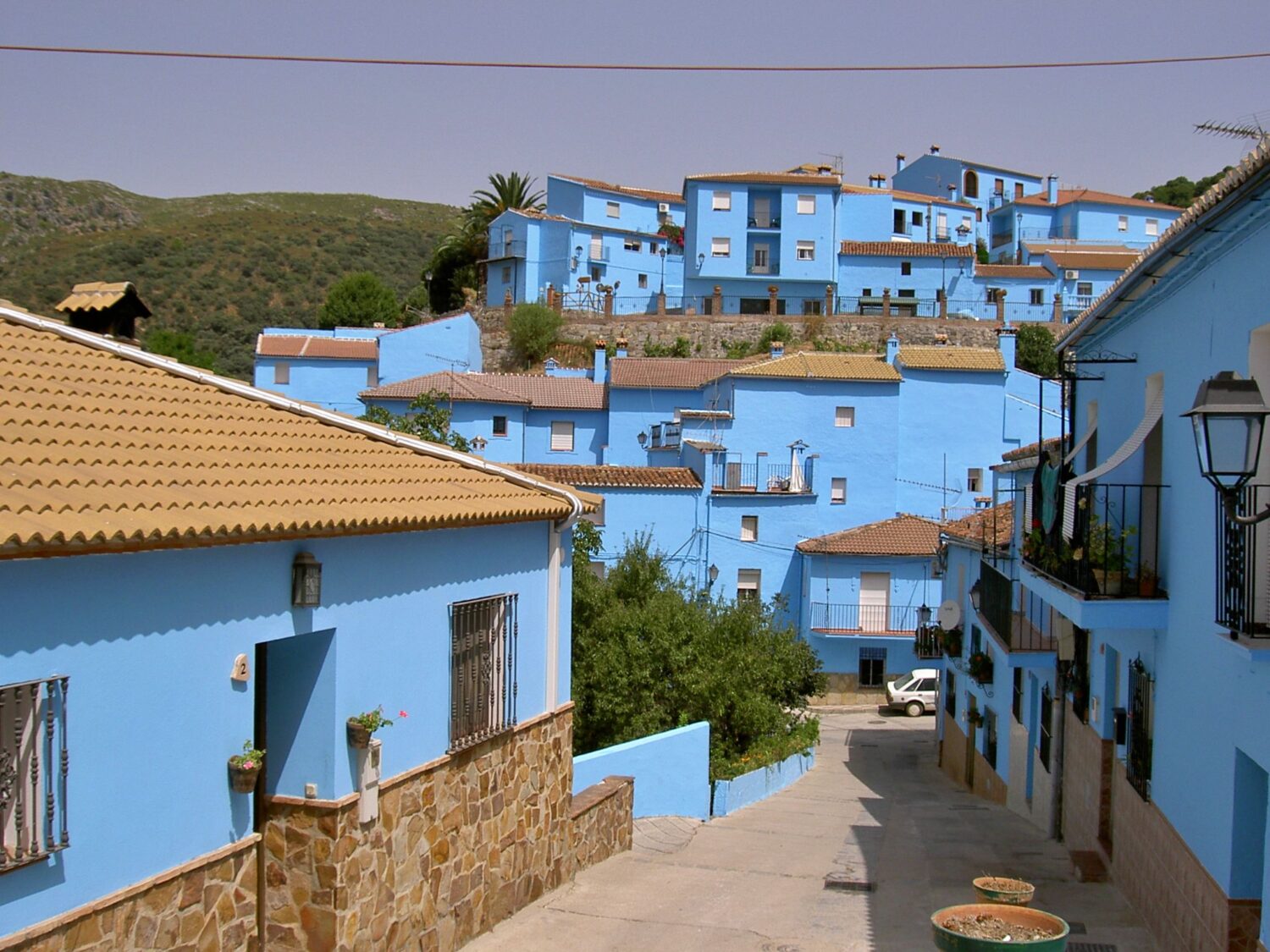 The Blue Village 