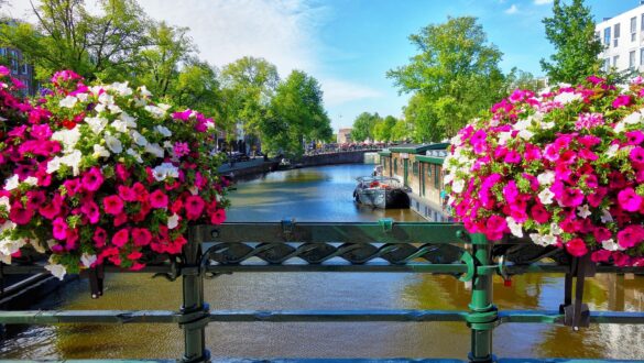 Visit Amsterdam in the spring