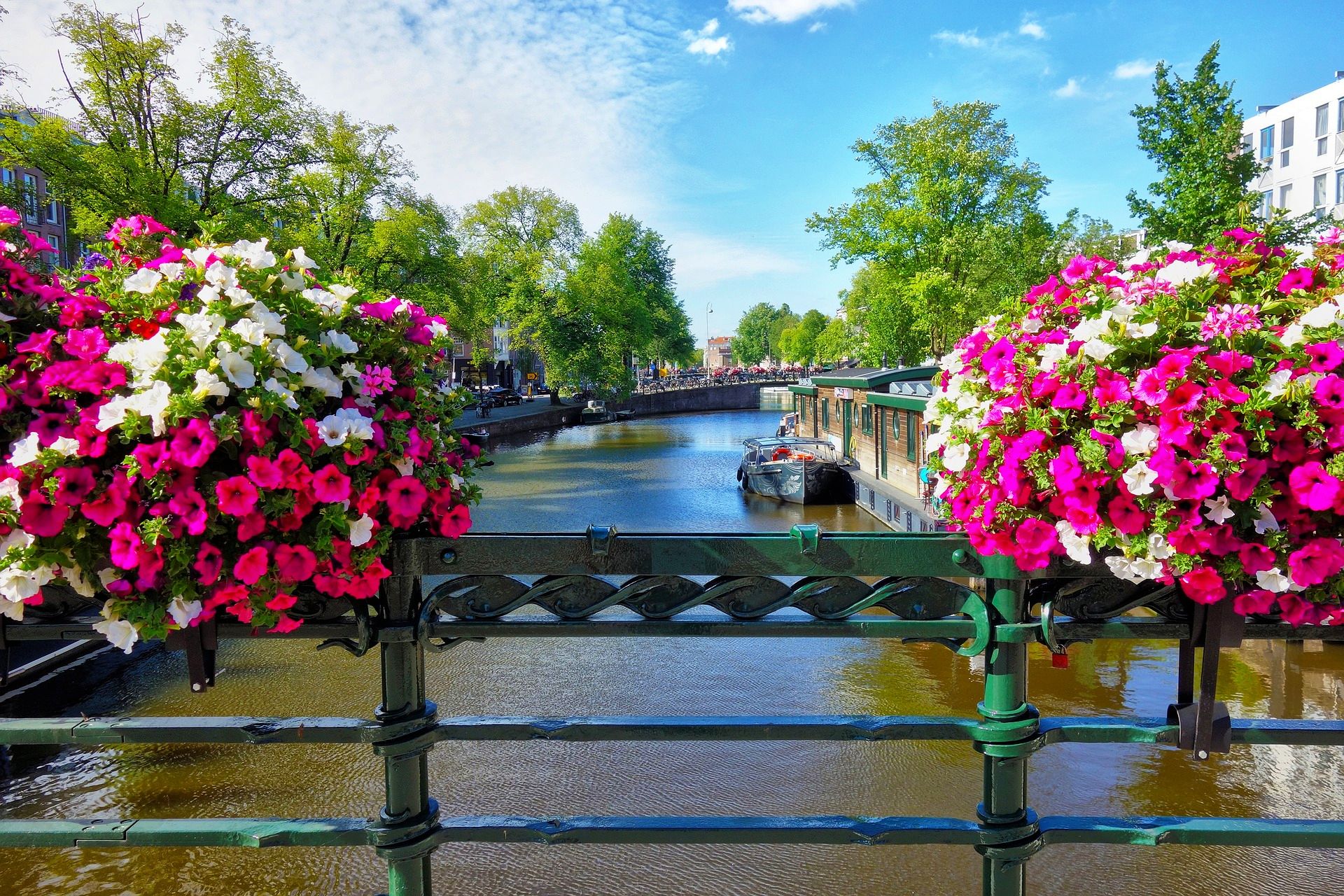 Visit Amsterdam in the spring