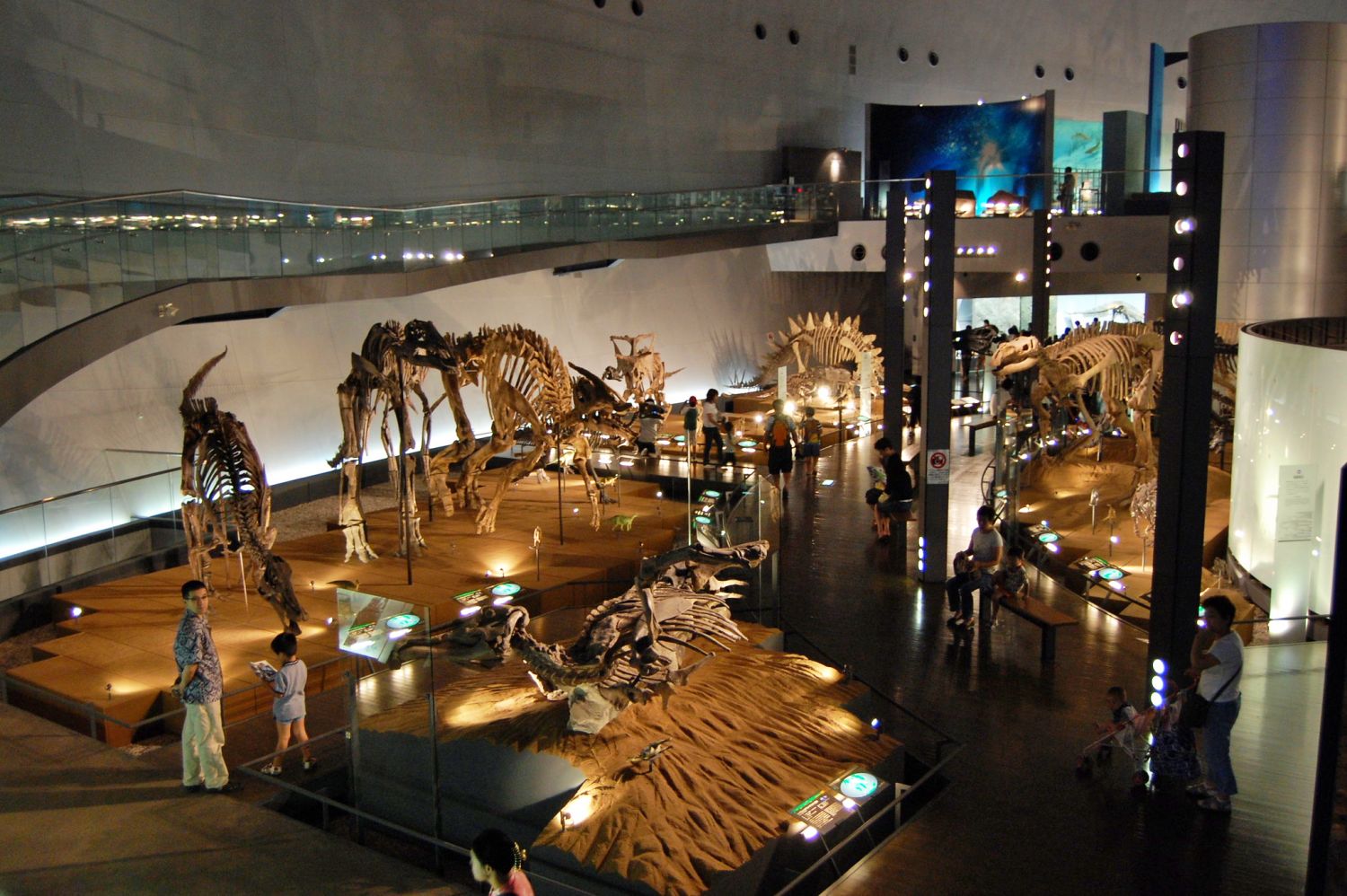 Fukui Prefectural Dinosaur Museum, Katsuyama