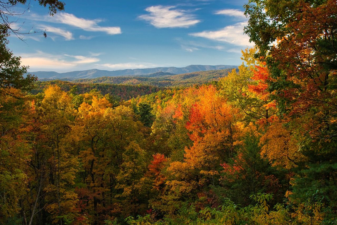 Great Smoky Mountain National Park in the fall