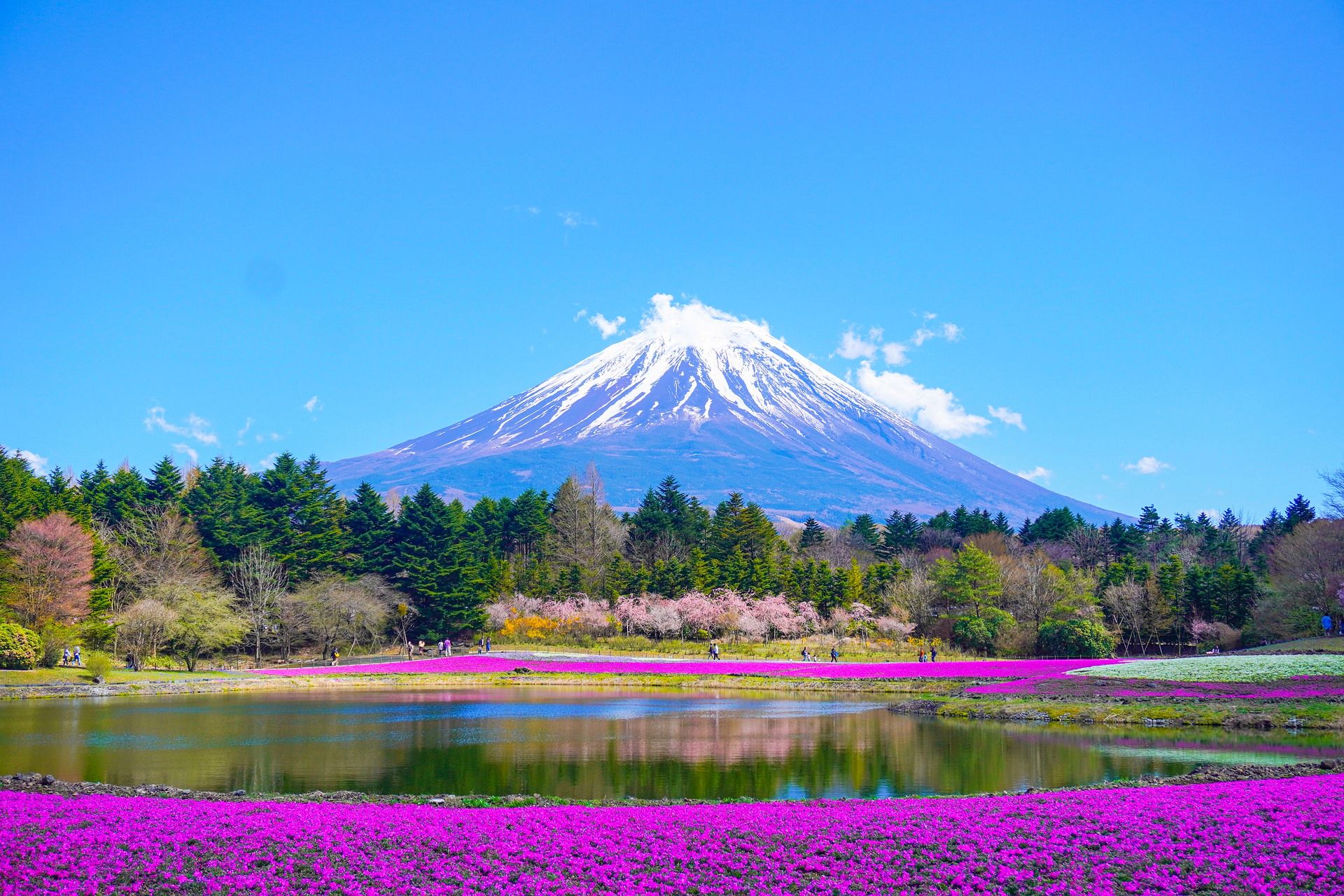 Japan to charge tourist fee for Mount Fuji due to overtourism
