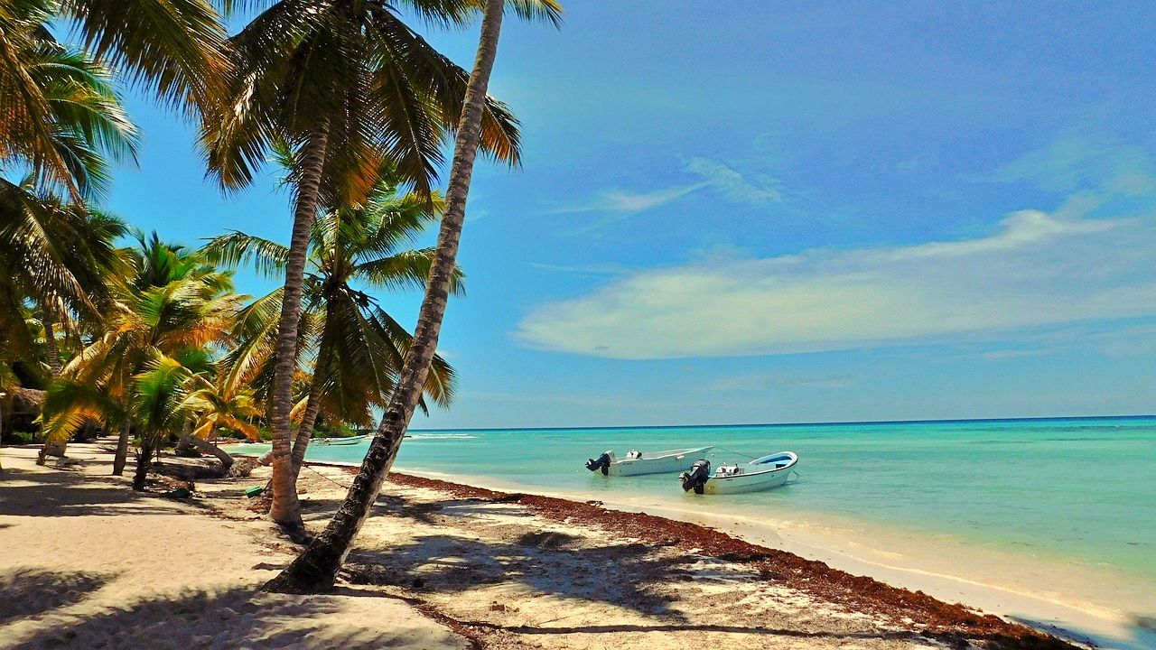 Visit Saona Island on a romantic getaway in Dominican Republic