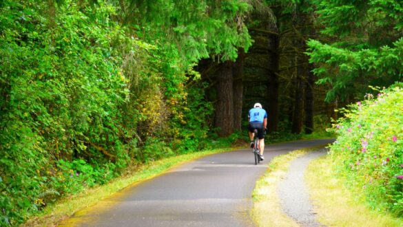 Banks-Vernonia State Trail