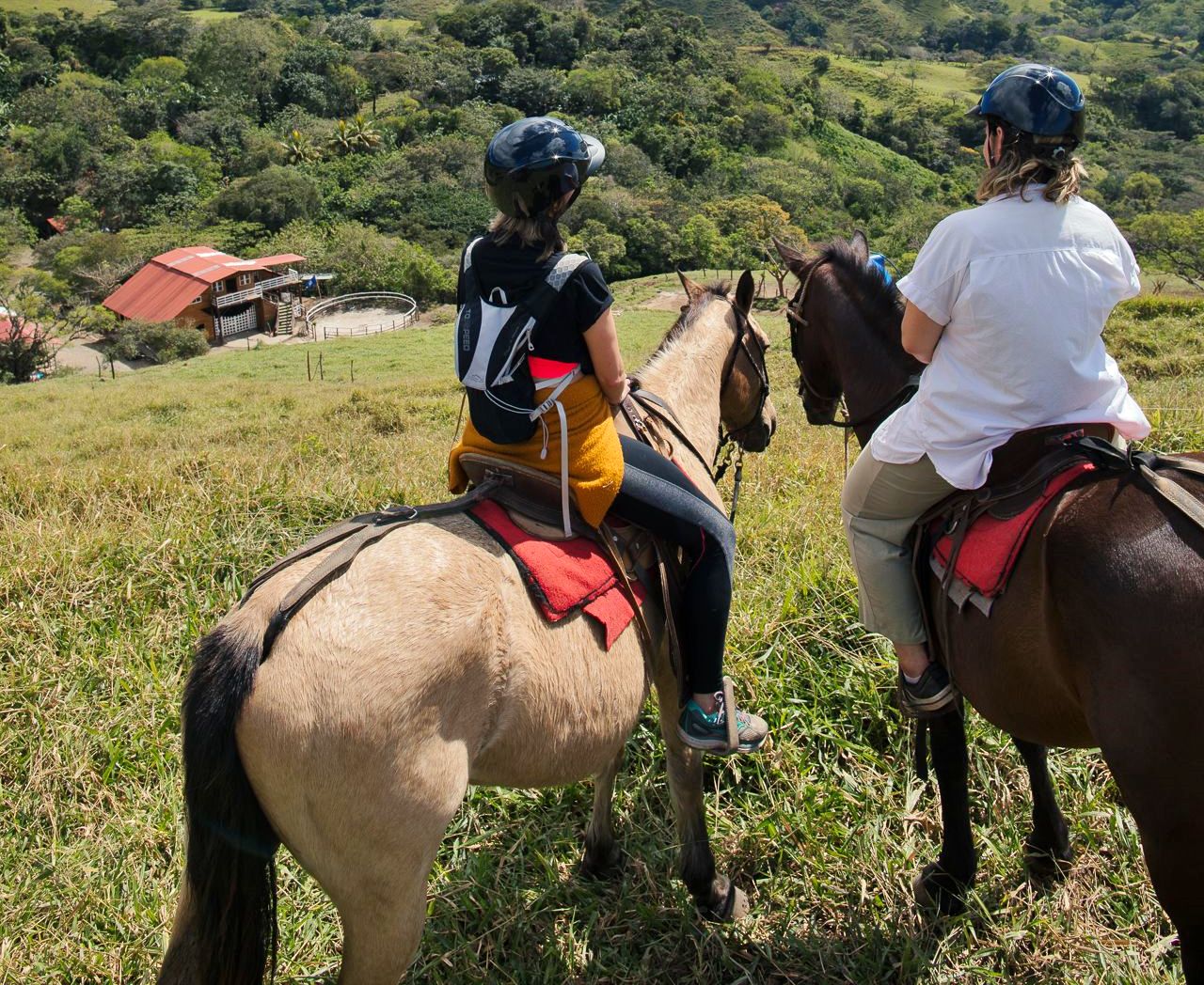 Horseback riding