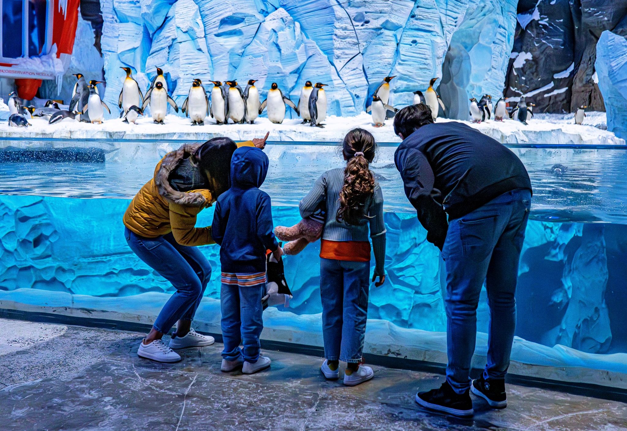 SeaWorld penguins