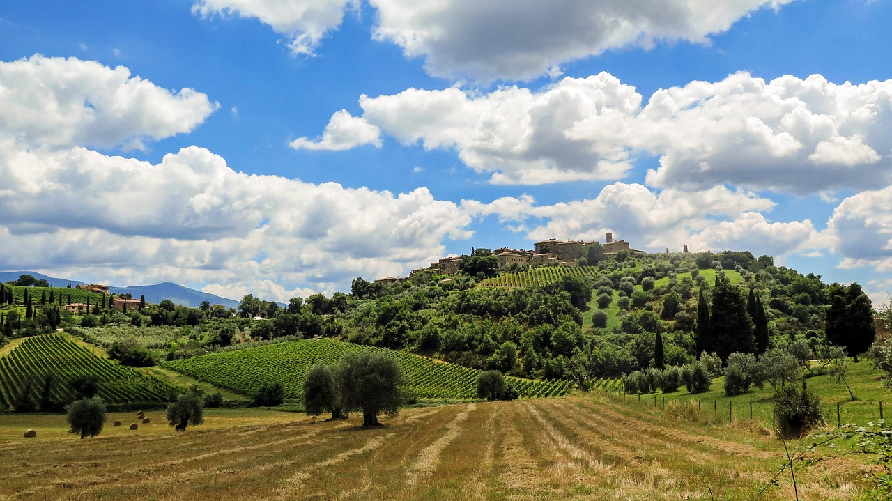 Tuscan landscape