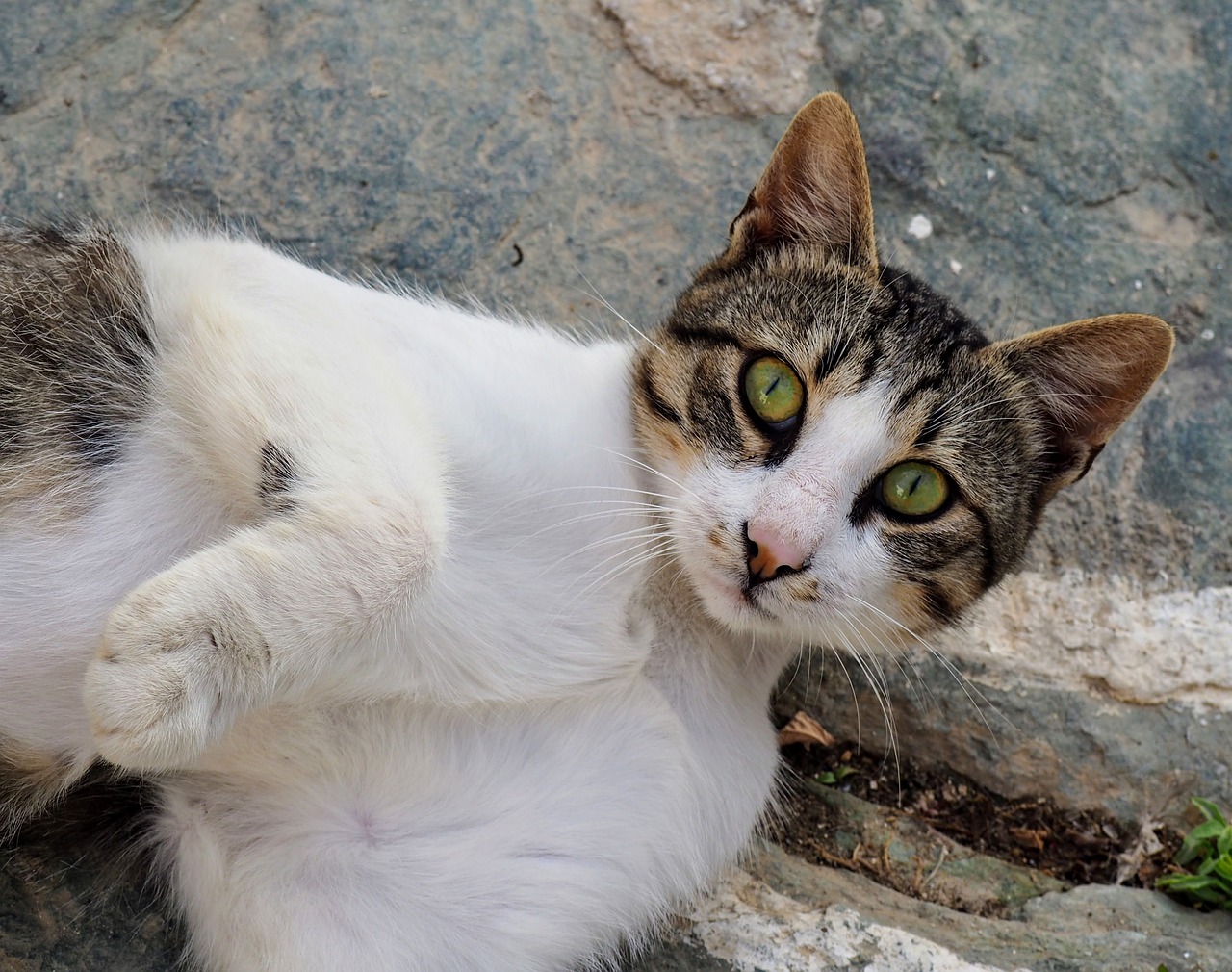 Friendly locals in Folegandros