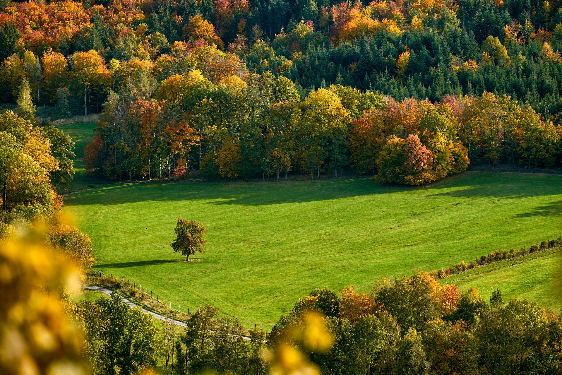 Some of the best places in the US to see the fall foliage