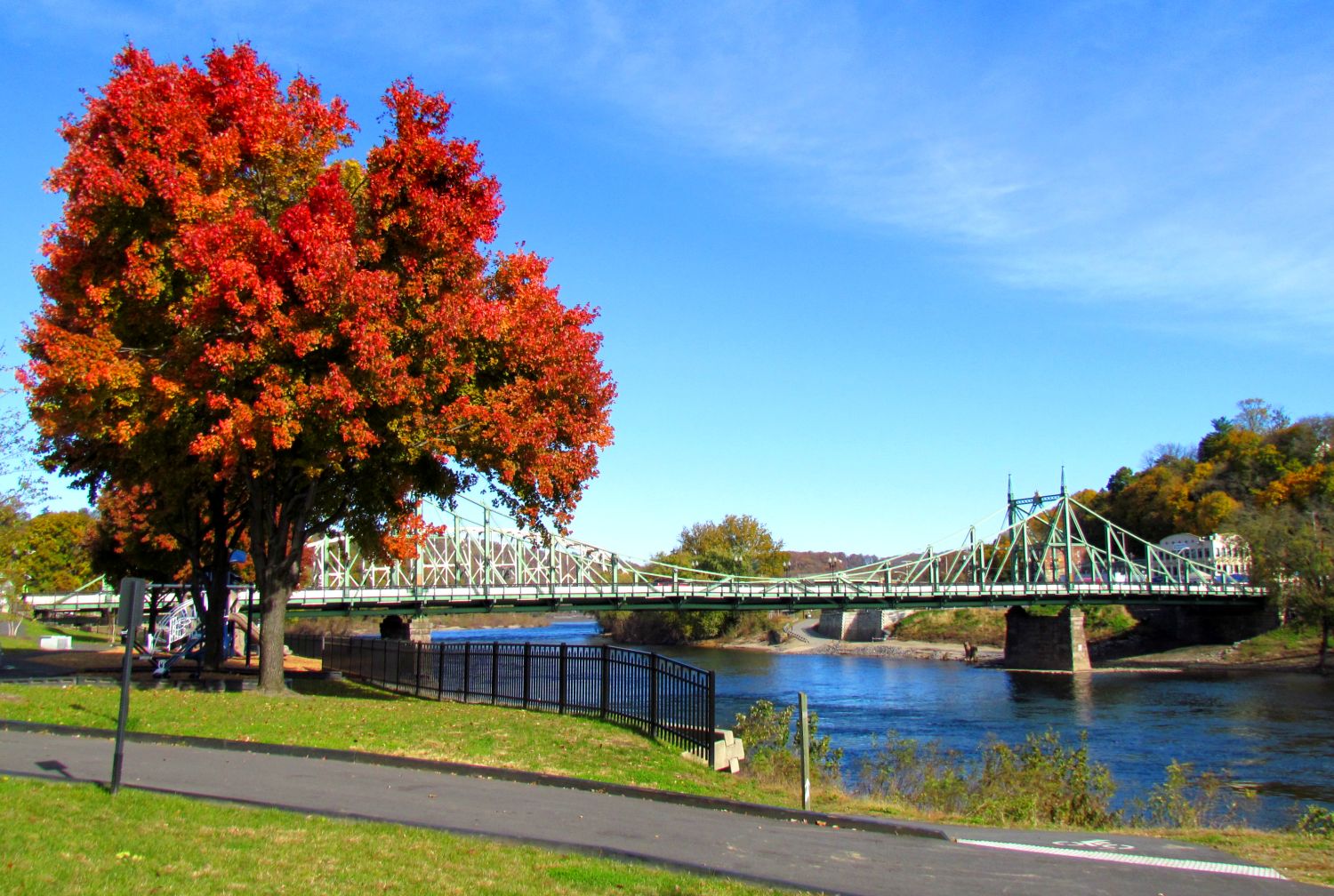 Fall foliage