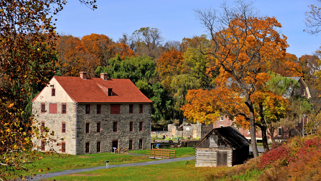 Beautiful autumn scenes