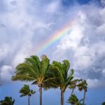 Rainbow over South Beach Park, Fort Lauderdale, Florida, USA