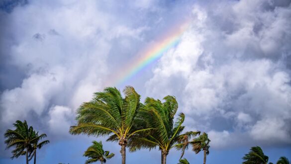 Rainbow over South Beach Park, Fort Lauderdale, Florida, USA