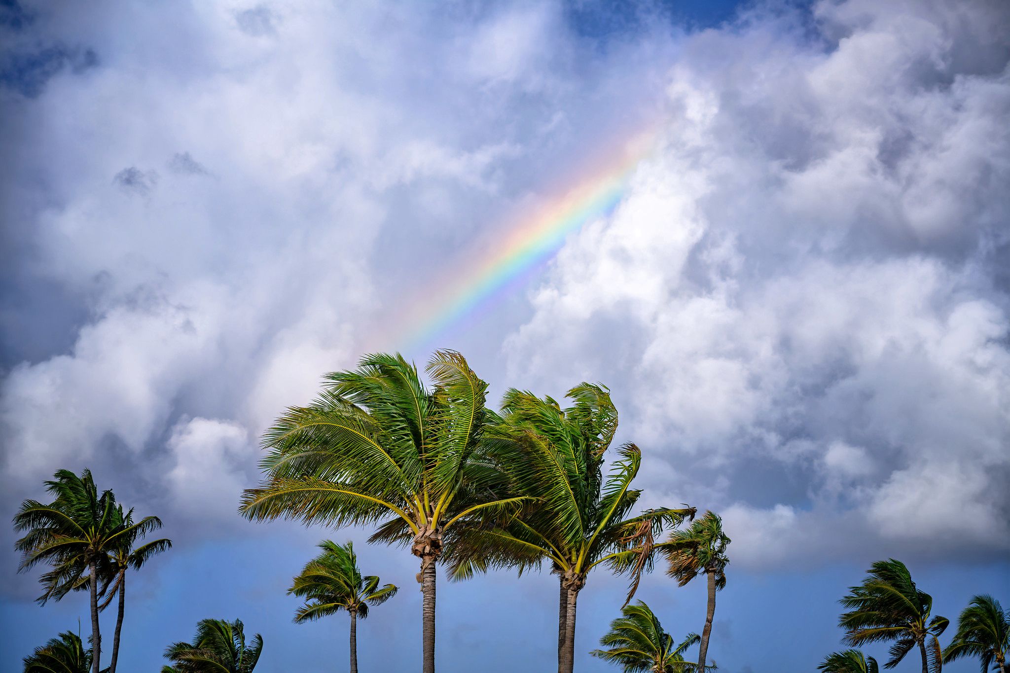 Rainbow over South Beach Park, Fort Lauderdale, Florida, USA