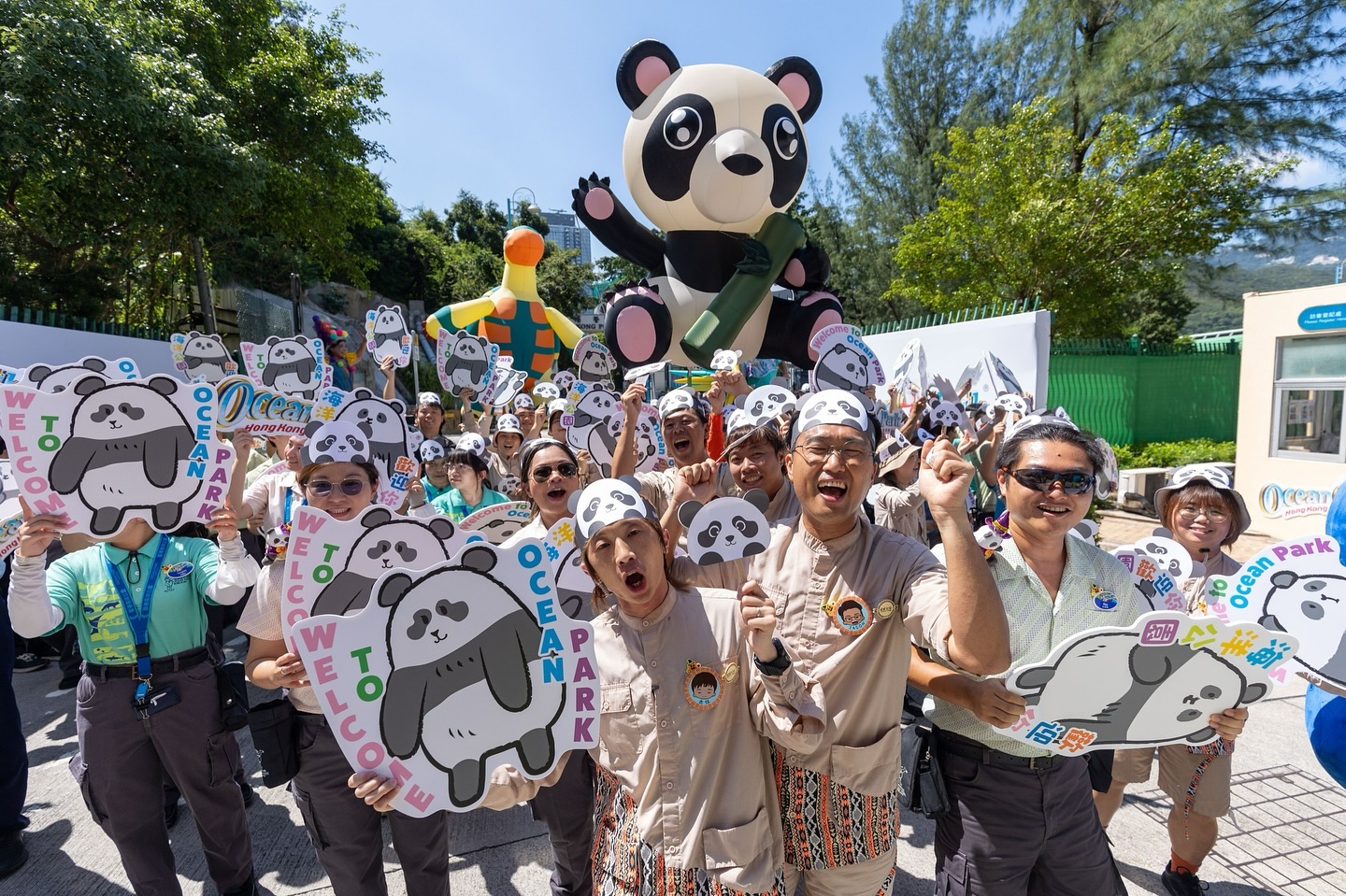 Giant panda celebration