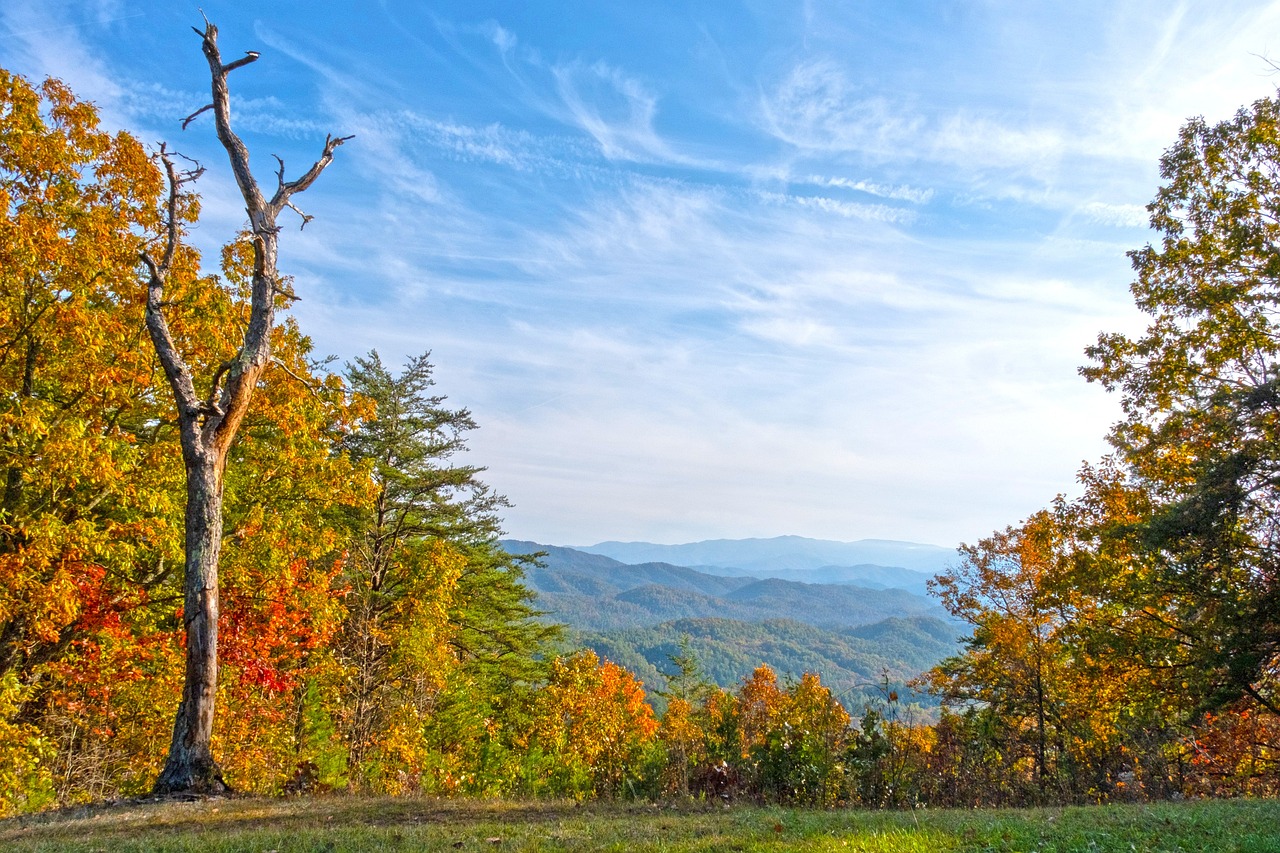 Fall in the Tennessee Mountains