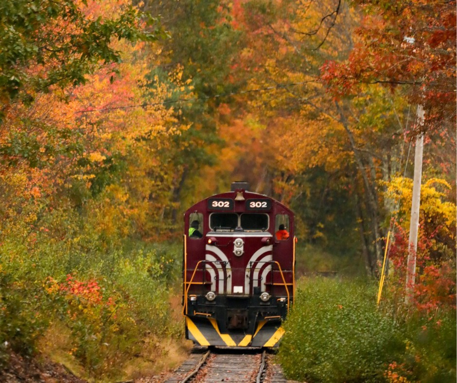 Winnipesaukee Scenic Railroad - Fall Foliage Train