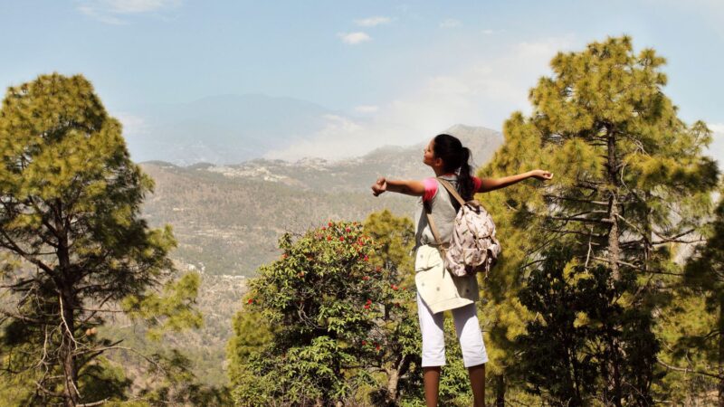 Ananda in the Himalayas