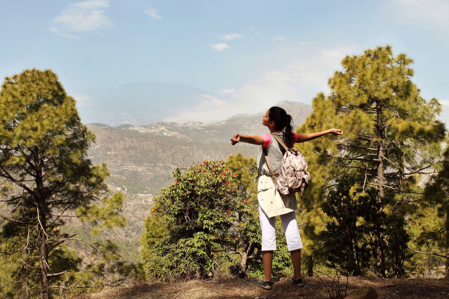 Ananda in the Himalayas